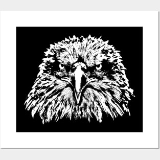 Bald Eagle Head Posters and Art